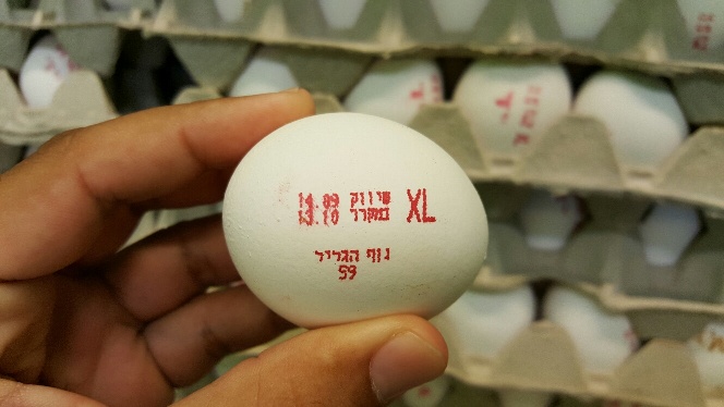 ביצים עם סימון מזויף בשוק העירוני בפ”ת